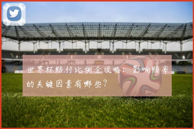 世界杯赔付比例全攻略:影响赔率的关键因素有哪些?