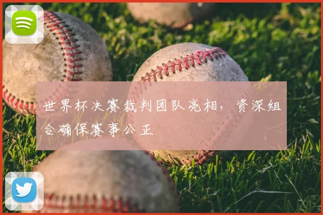世界杯决赛裁判团队亮相,资深组合确保赛事公正