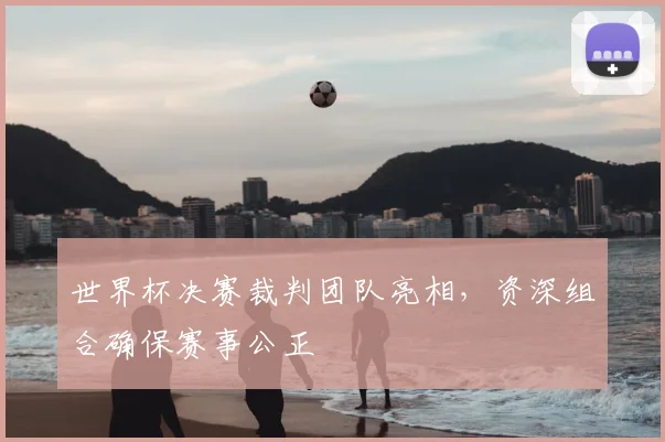 世界杯决赛裁判团队亮相,资深组合确保赛事公正
