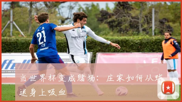 当世界杯变成赌场：庄家如何从球迷身上吸血