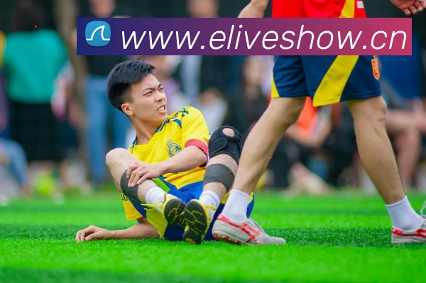 博亚汇app平台生态图